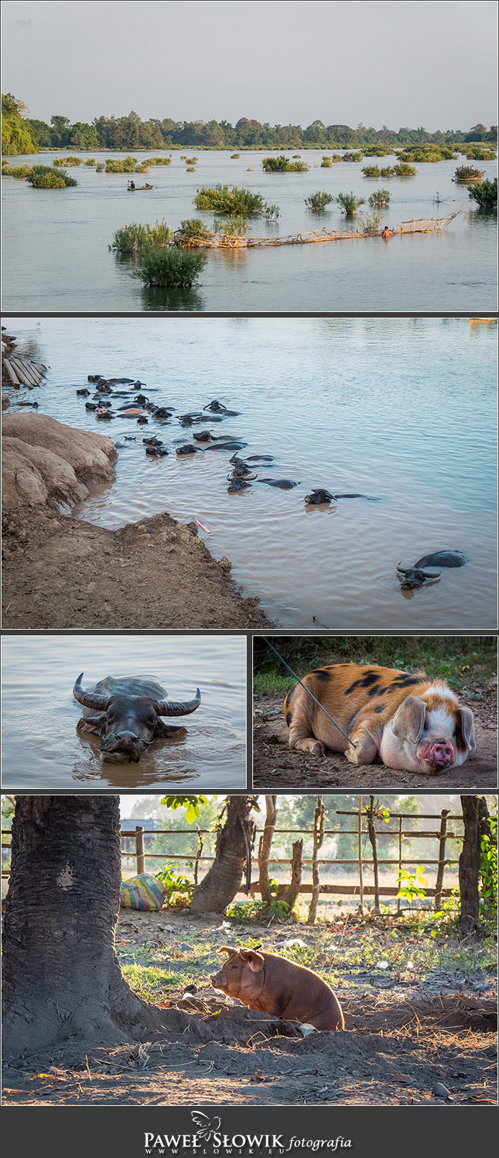 Azja Kambodża Laos Wyprawa 2012 (49)