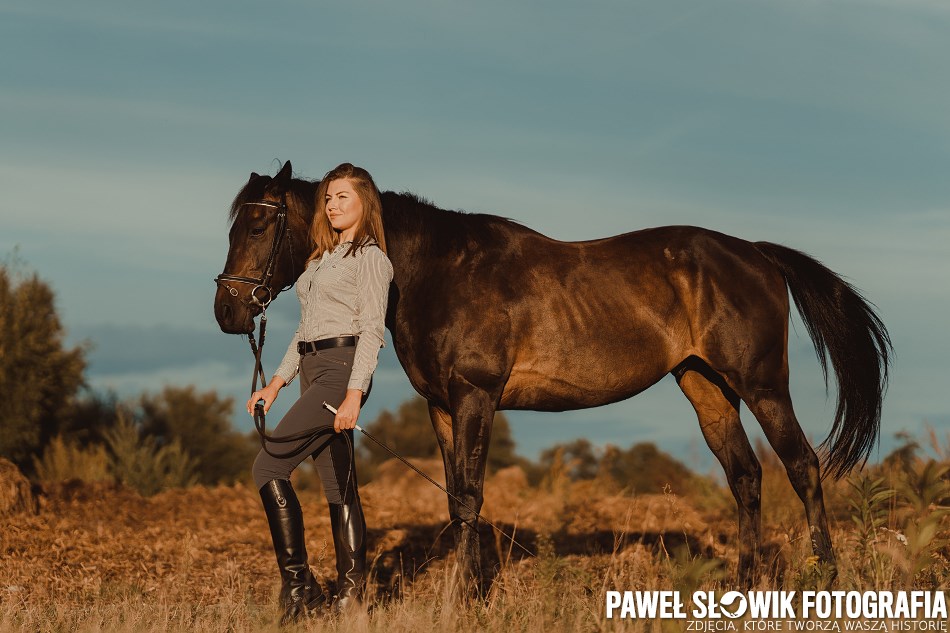 Sesje zdjęciowe z koniem