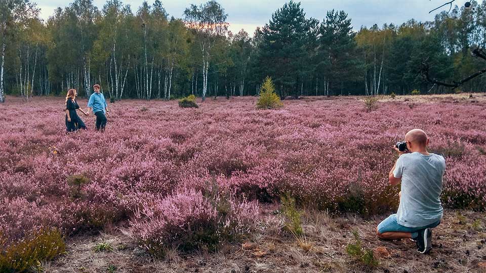 sesja zdjęciowa na wrzosowisku